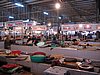 IMG_1513.jpg