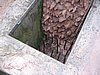 IMG_1518.jpg