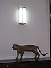 IMG_1534.jpg