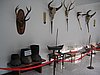 IMG_1537.jpg