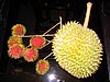 IMG_1549.jpg