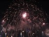 IMG_1563.jpg