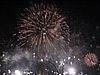 IMG_1564.jpg