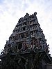 IMG_1579.jpg