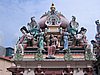 IMG_1581.jpg