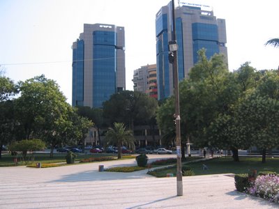 IMG_1959.jpg
