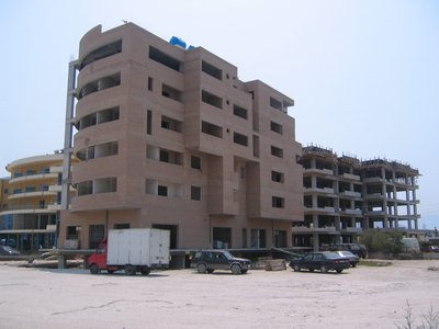 IMG_1971.jpg