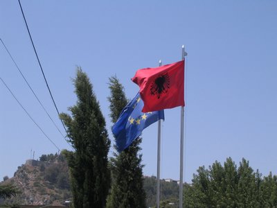 IMG_1987.jpg