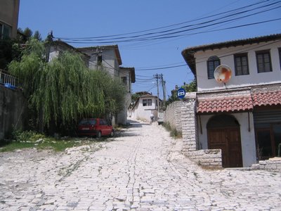 IMG_1988.jpg