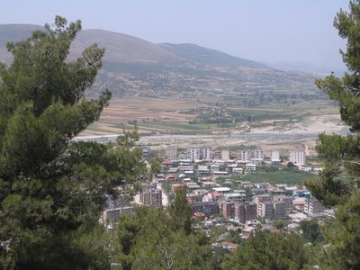 IMG_1991.jpg