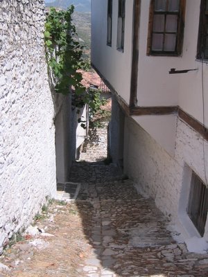 IMG_2000.jpg