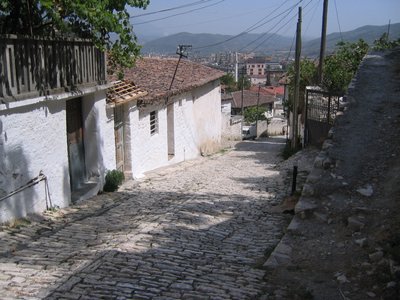 IMG_2001.jpg
