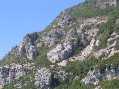 IMG_2016.jpg