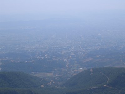 IMG_2020.jpg