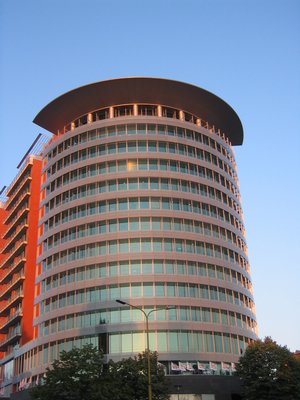 IMG_2036.jpg