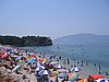 IMG_1983.jpg