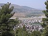 IMG_1991.jpg