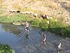 IMG_2004.jpg
