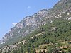 IMG_2015.jpg