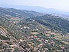 IMG_2022.jpg
