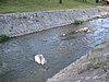 IMG_2028.jpg