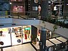 IMG_2029.jpg