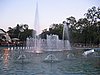 IMG_2037.jpg