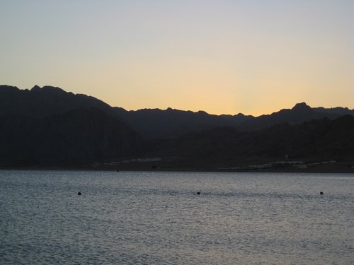 IMG_0145.jpg