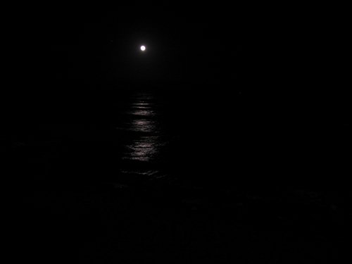 IMG_0159.jpg