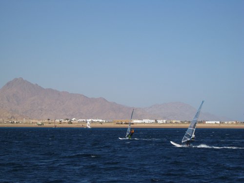 IMG_0178.jpg