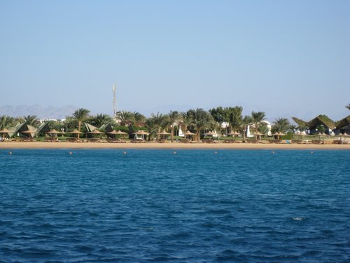 IMG_0185.jpg