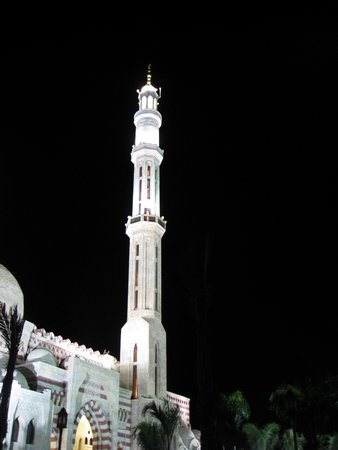 IMG_0203.jpg