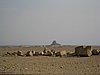 IMG_0125.jpg