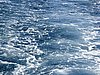 IMG_0172.jpg