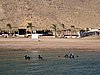 IMG_0177.jpg