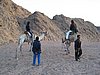 IMG_0187.jpg
