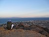 IMG_0194.jpg