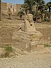IMG_0205.jpg
