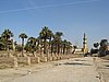 IMG_0208.jpg