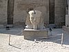 IMG_0209.jpg