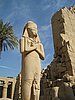 IMG_0224.jpg