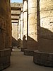 IMG_0226.jpg