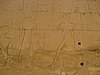 IMG_0235.jpg