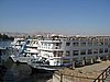 IMG_0237.jpg