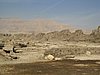 IMG_0256.jpg