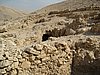 IMG_0257.jpg