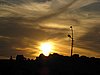 IMG_0281.jpg
