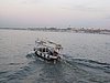 IMG_0285.jpg