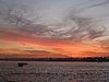 IMG_0286.jpg