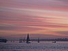 IMG_0288.jpg